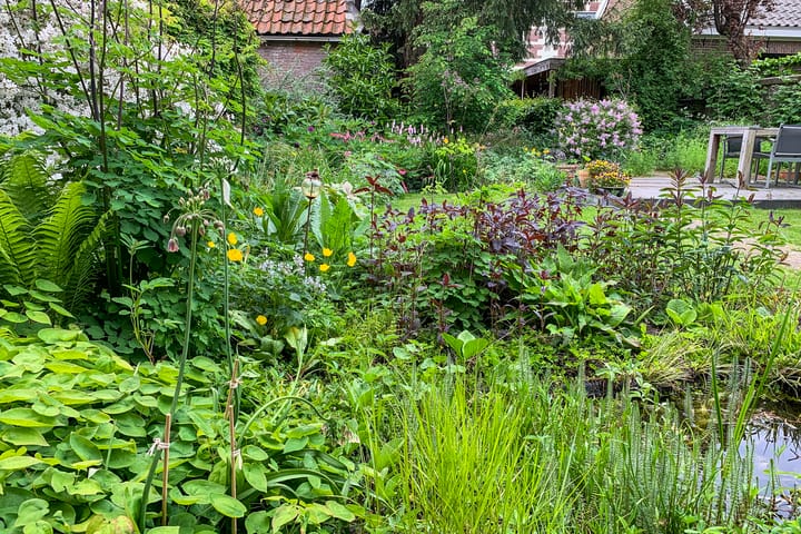 Photo 66 of Vloeddijk 91