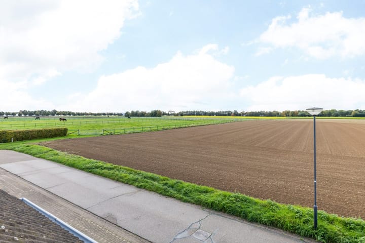 Foto 41 van Bielveld 17