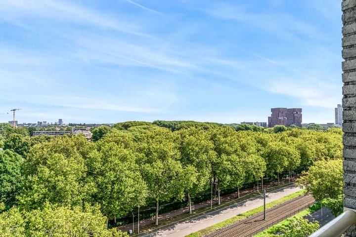 Photo 19 of Livingstonelaan 320