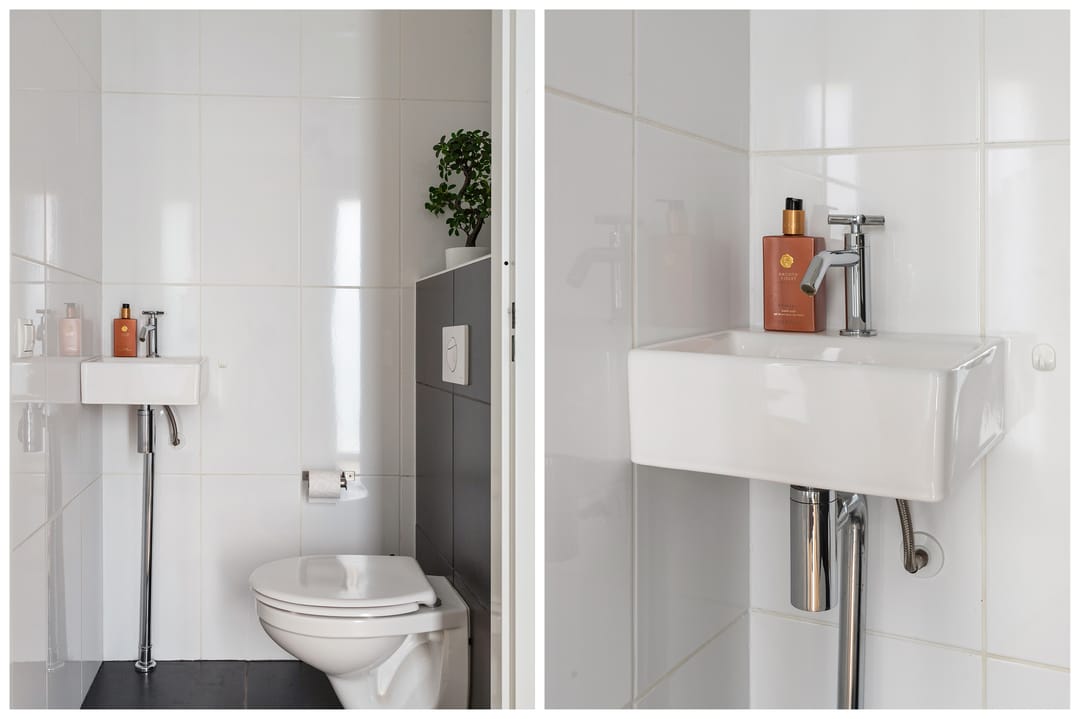 Foto 8 van Pijlkruid 10