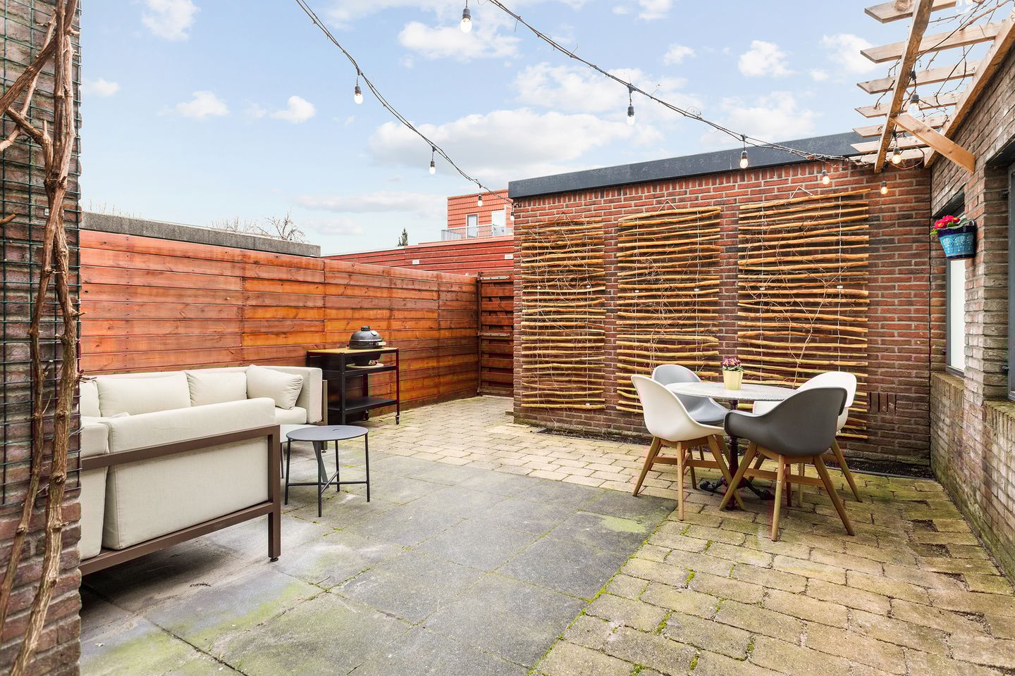 Foto 25 van Pijlkruid 10