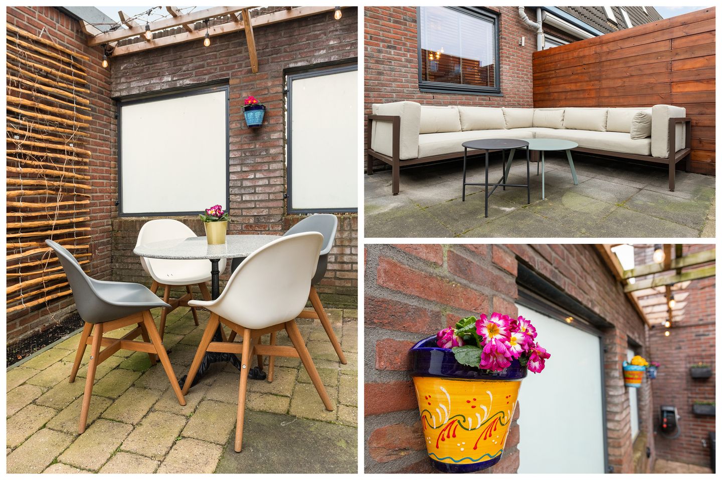 Foto 29 van Pijlkruid 10