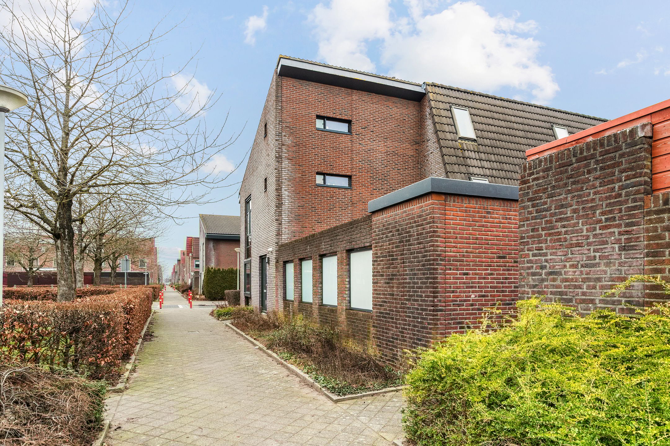 Foto 30 van Pijlkruid 10