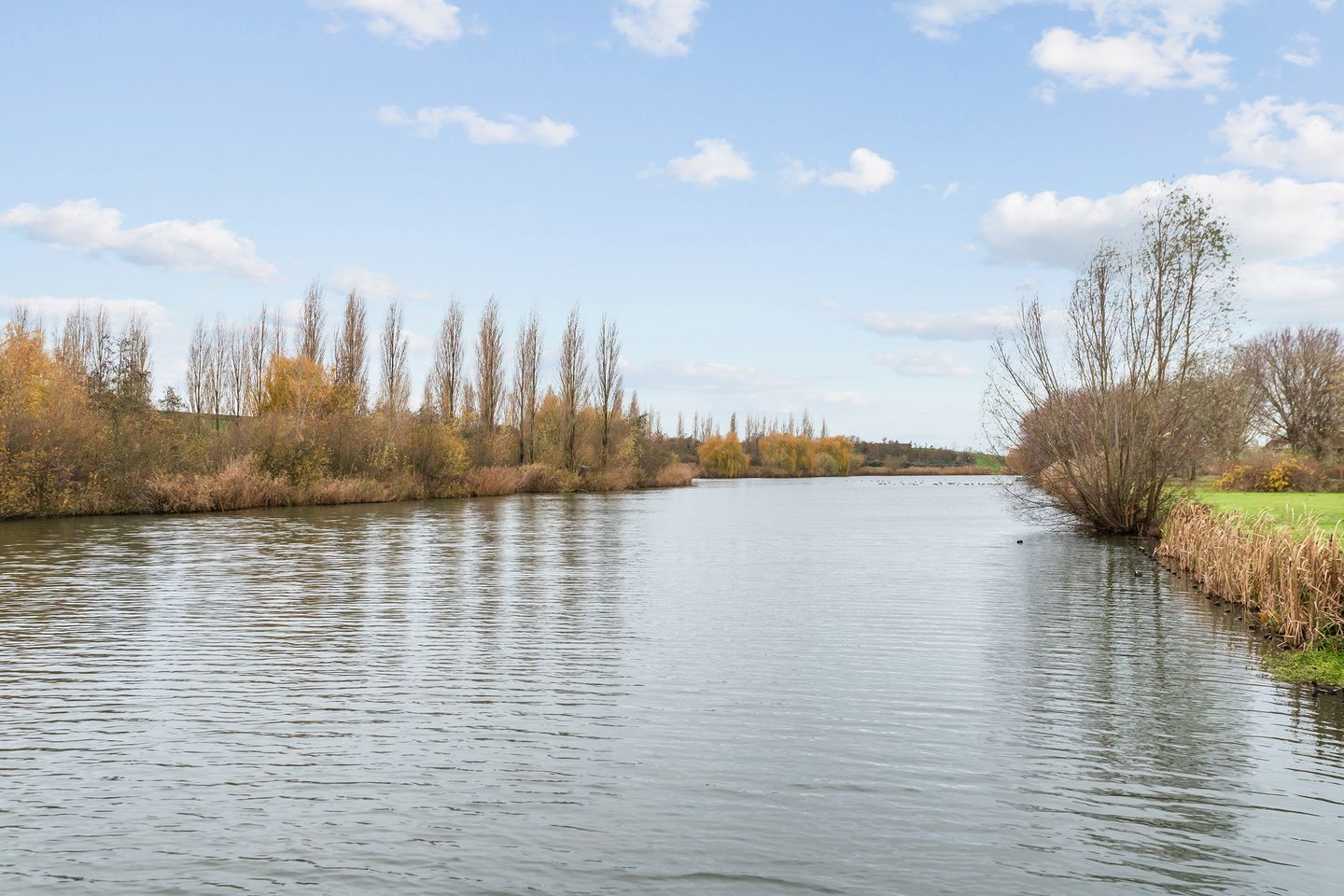 Foto 34 van Pijlkruid 10