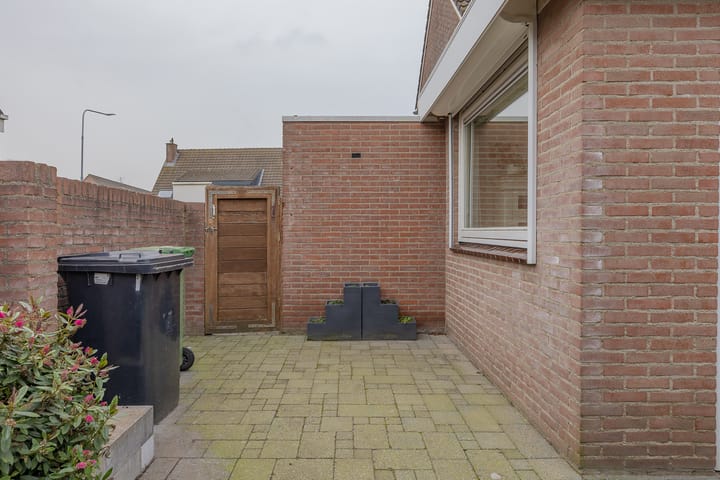 Photo 19 of Torentrans 136