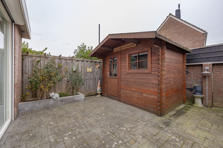 Photo 21 of Torentrans 136