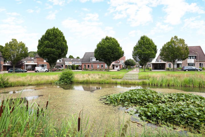 Photo 49 of Andrieserf 16