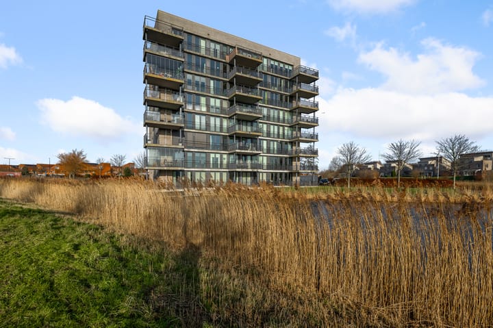 Razende Bol 25 main image