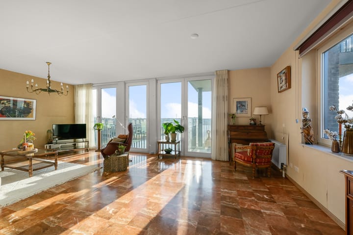 Photo 3 of Razende Bol 25