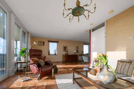 Razende Bol 25 tertiary image