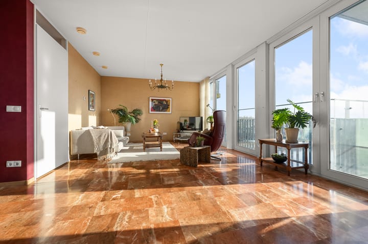 Photo 5 of Razende Bol 25