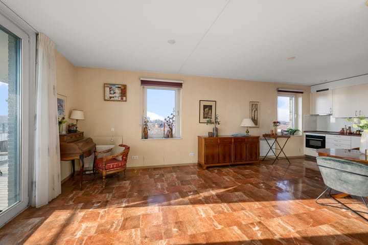 Photo 6 of Razende Bol 25