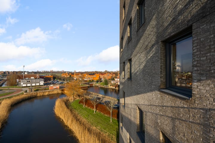 Photo 15 of Razende Bol 25