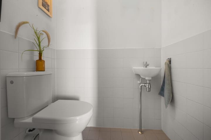 Photo 18 of Razende Bol 25