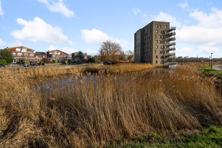 Photo 32 of Razende Bol 25