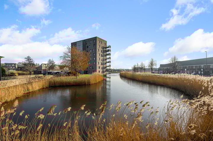 Photo 34 of Razende Bol 25