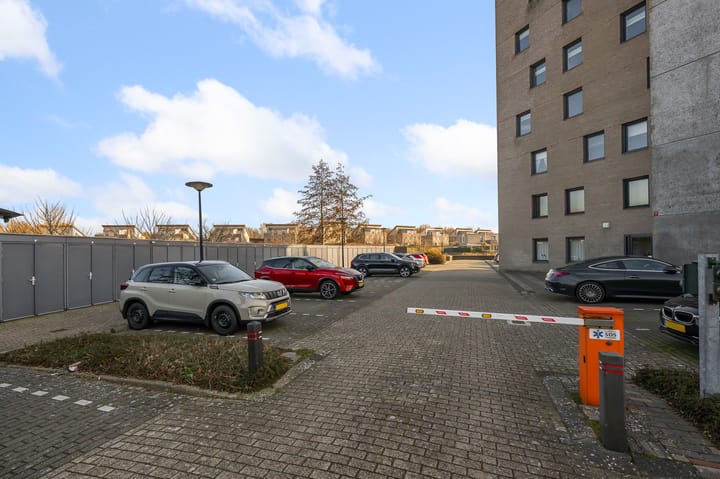 Photo 35 of Razende Bol 25