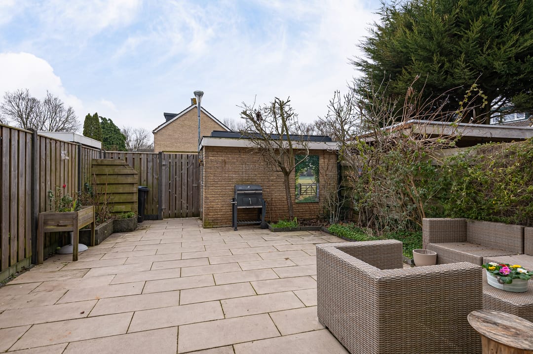 Photo 37 of Graan voor Visch 15223