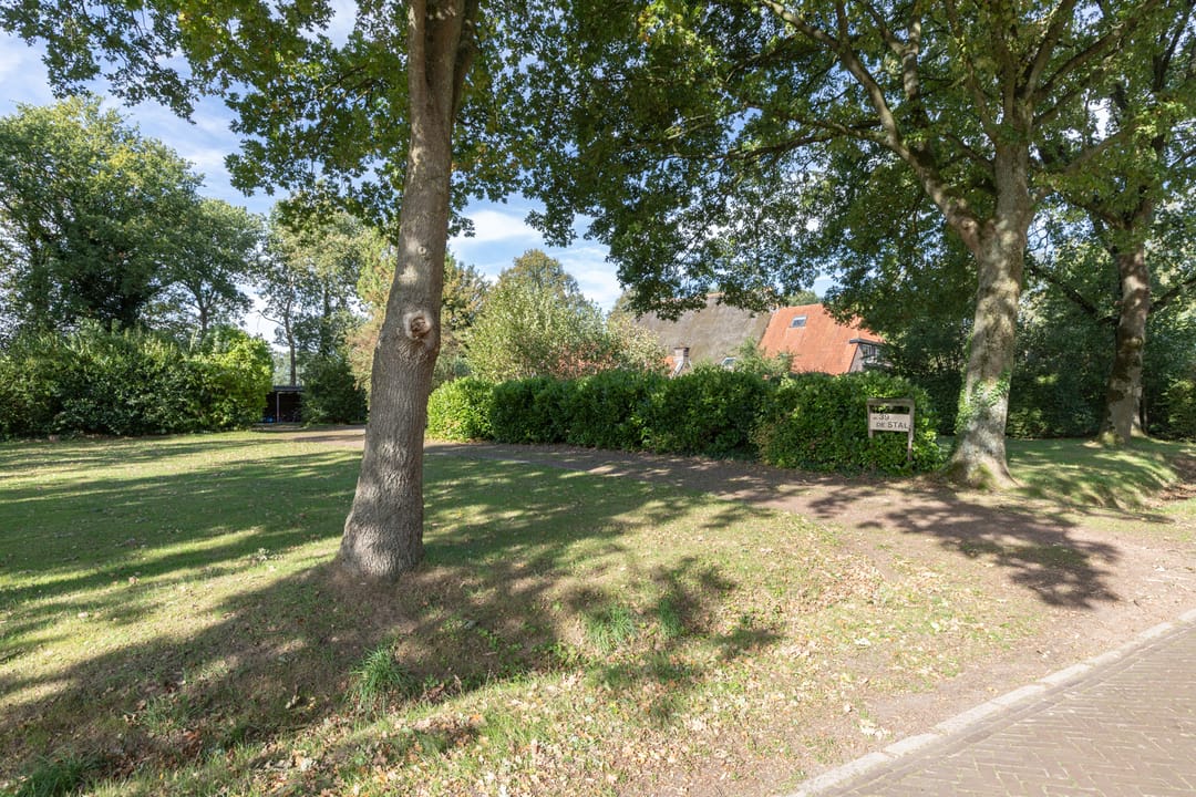 Foto 2 van Rollestraat 39