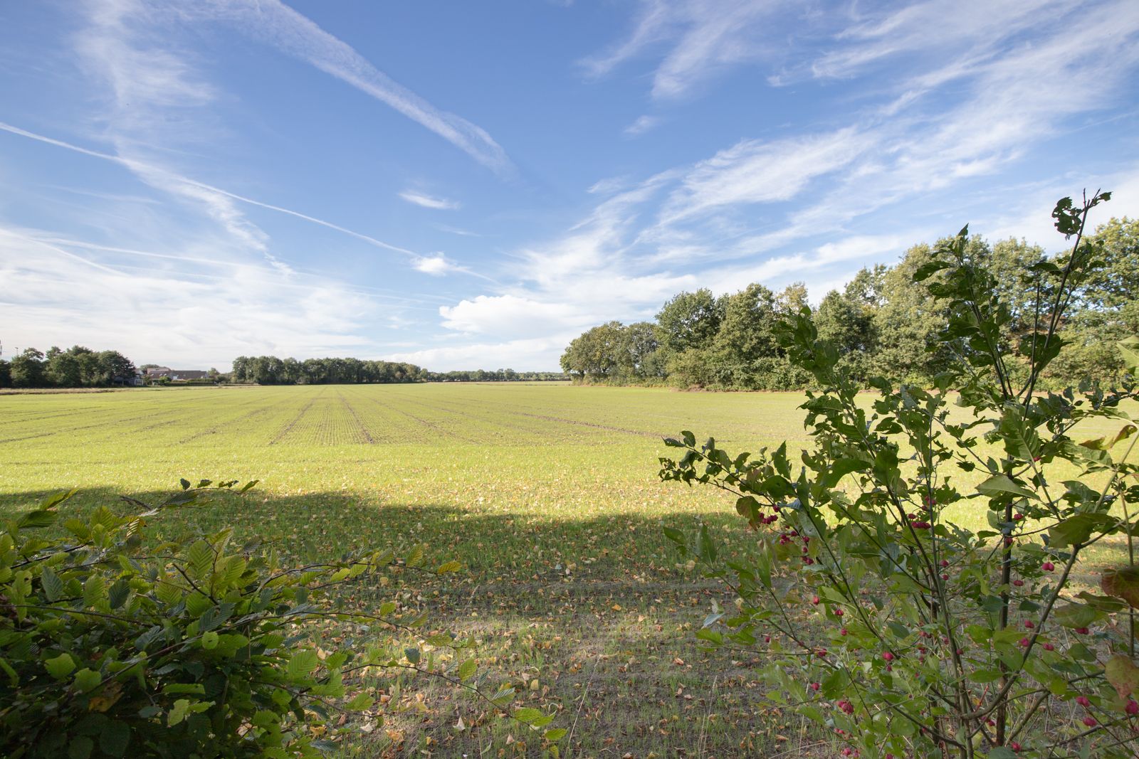 Foto 3 van Rollestraat 39