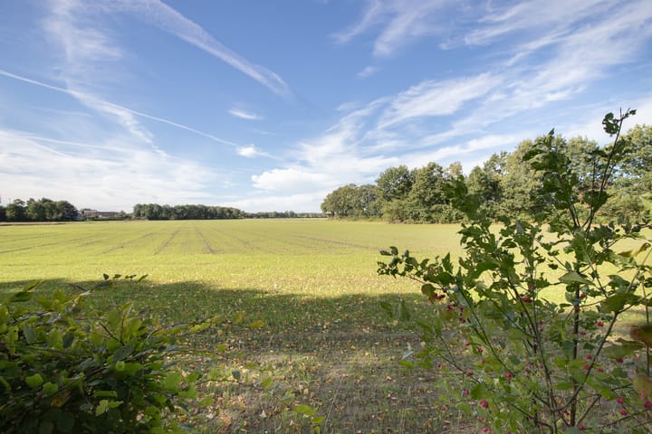 Foto 3 van Rollestraat 39