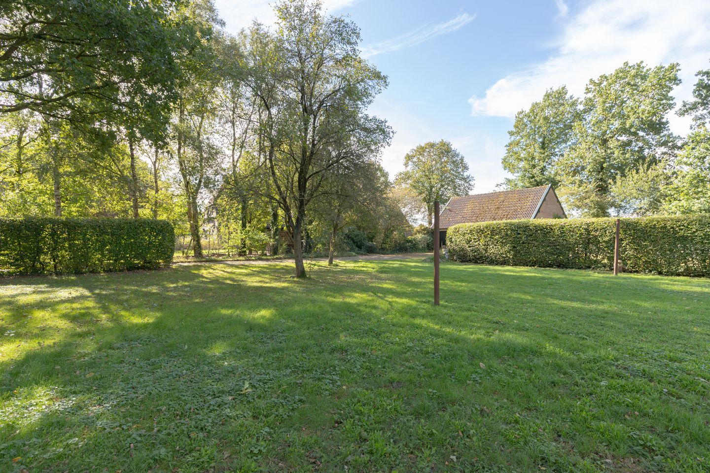 Foto 5 van Rollestraat 39