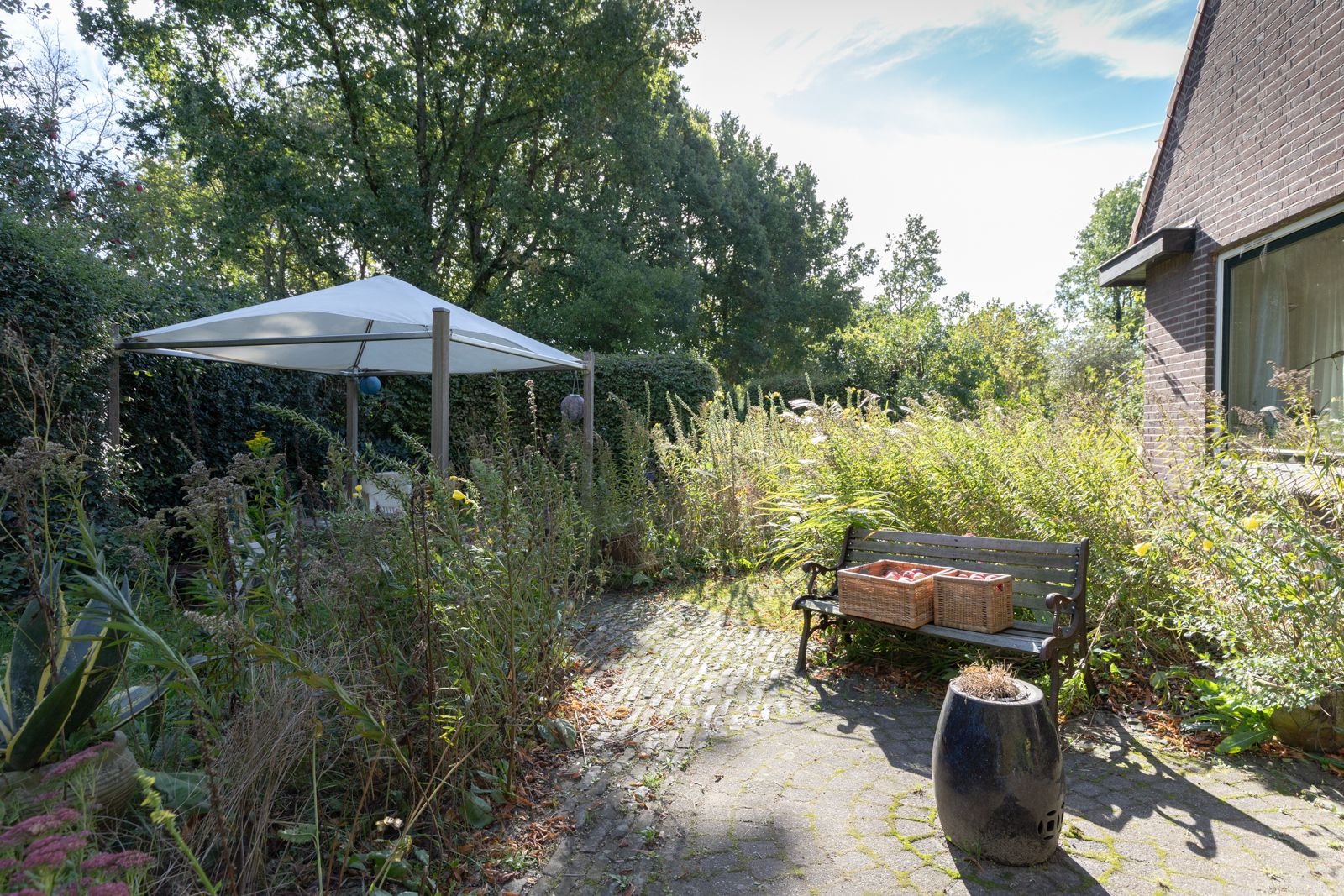 Foto 27 van Rollestraat 39