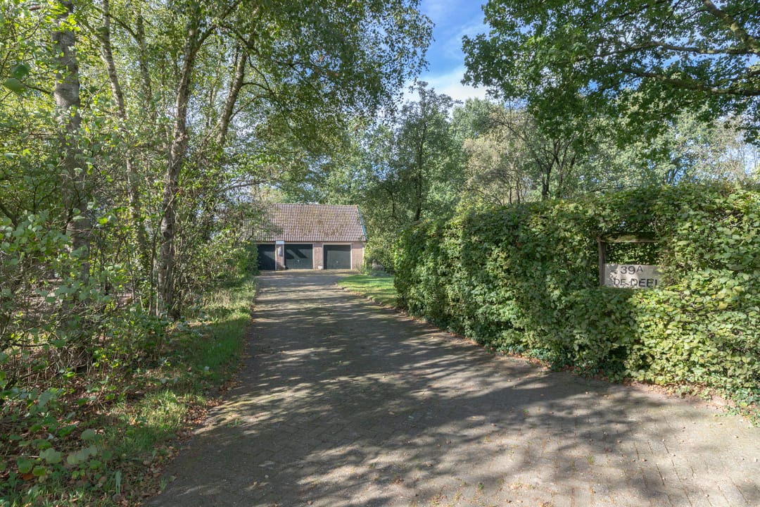 Foto 86 van Rollestraat 39