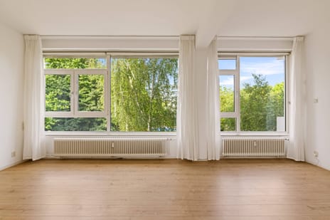 Van Boshuizenstraat thumbnail