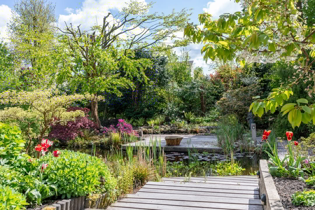 Foto 53 van Fazantlaan 5