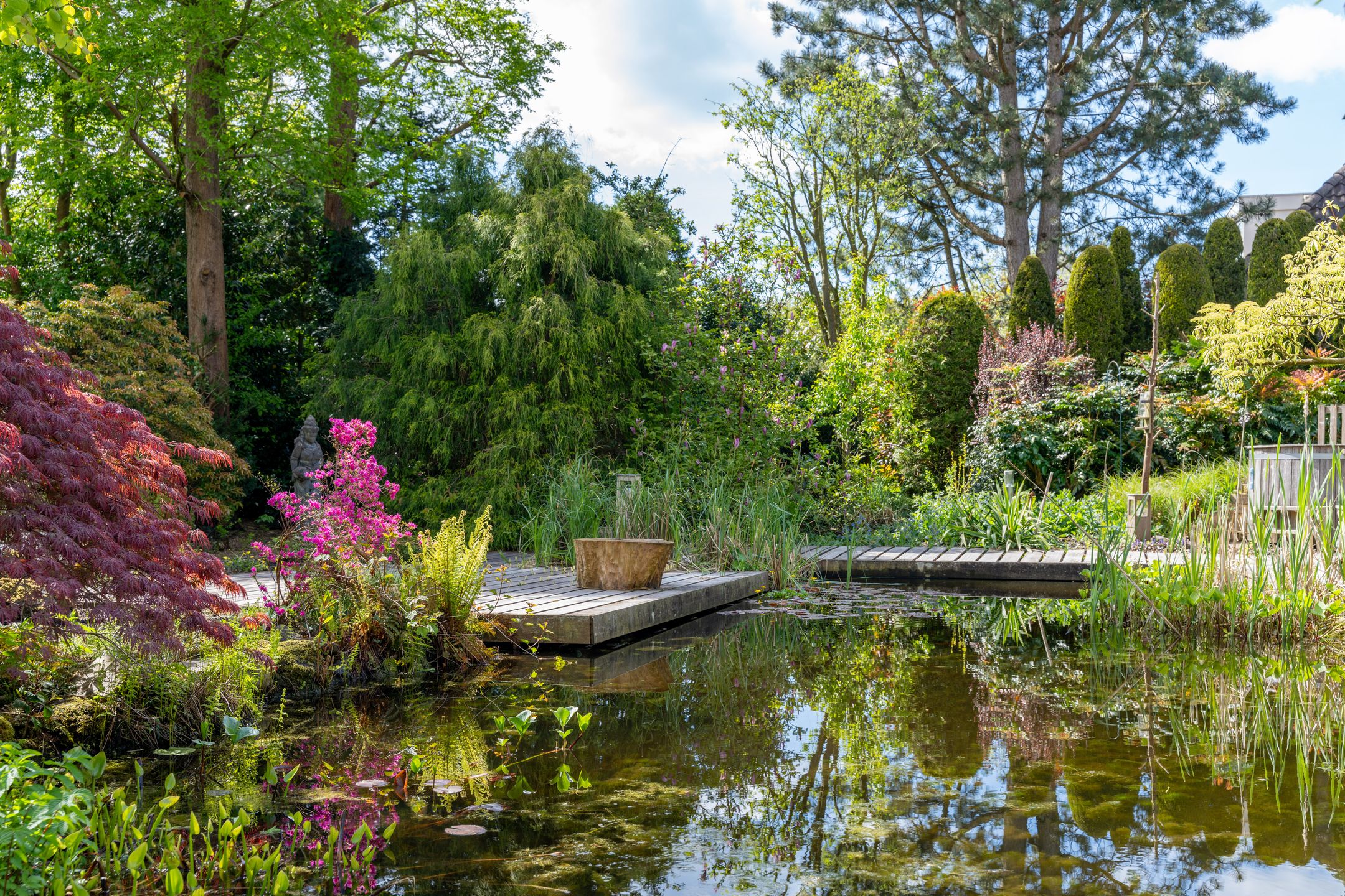 Foto 54 van Fazantlaan 5