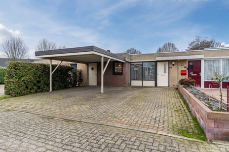 undefined main image