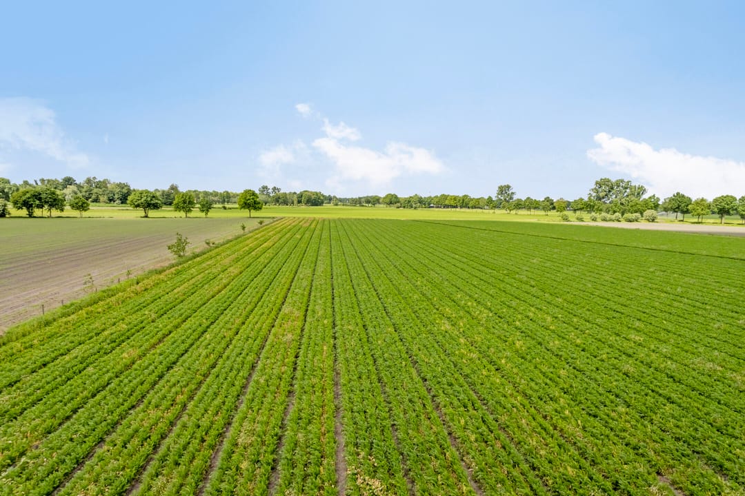 Foto 97 van Ginderdoor 37