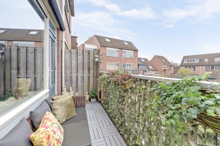 Photo 7 of Condor 57