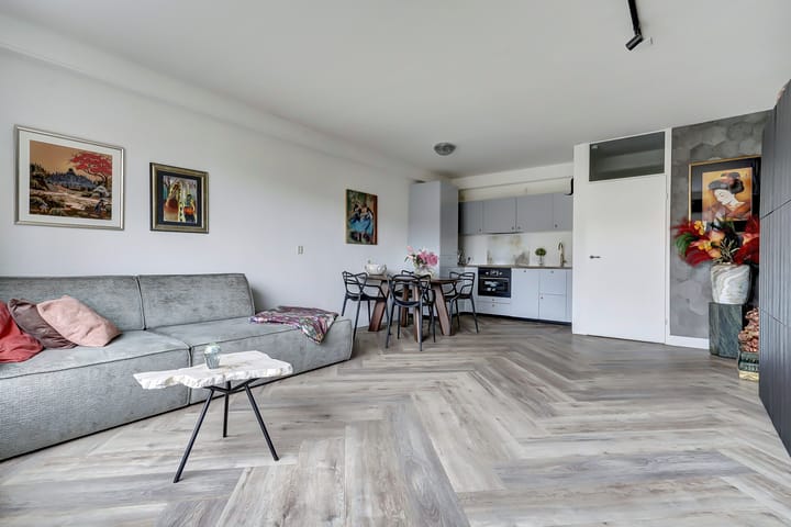 Photo 9 of Condor 57