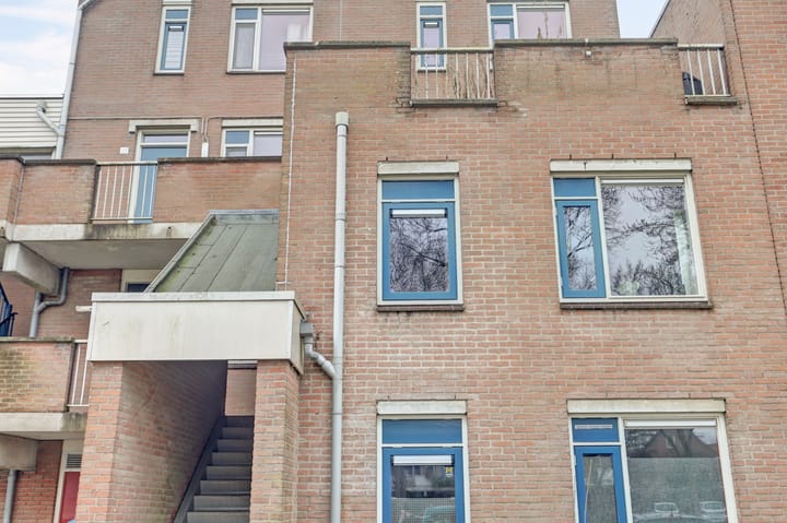 Photo 31 of Condor 57