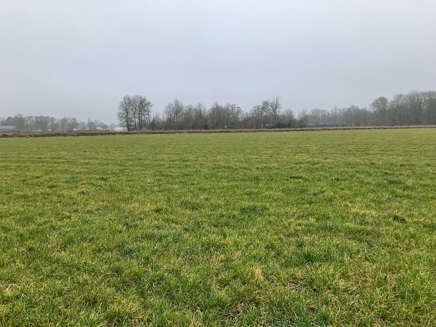 Bekijk foto 5 van Heltenbosdijk