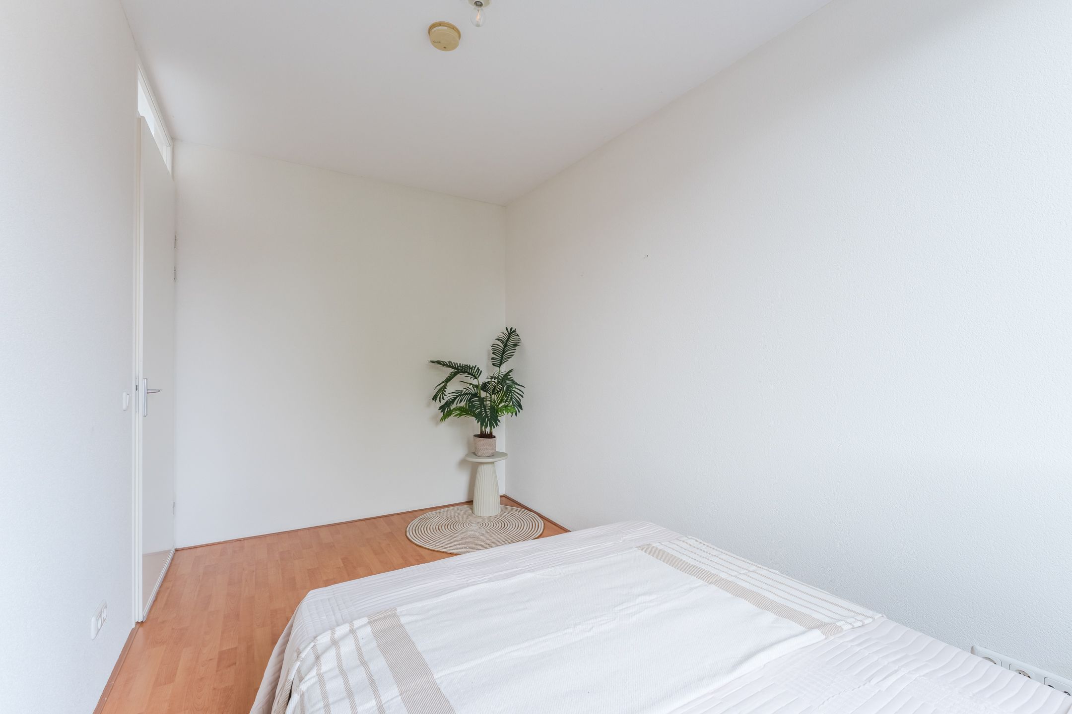 Foto 42 van Salvador Dalístraat 40