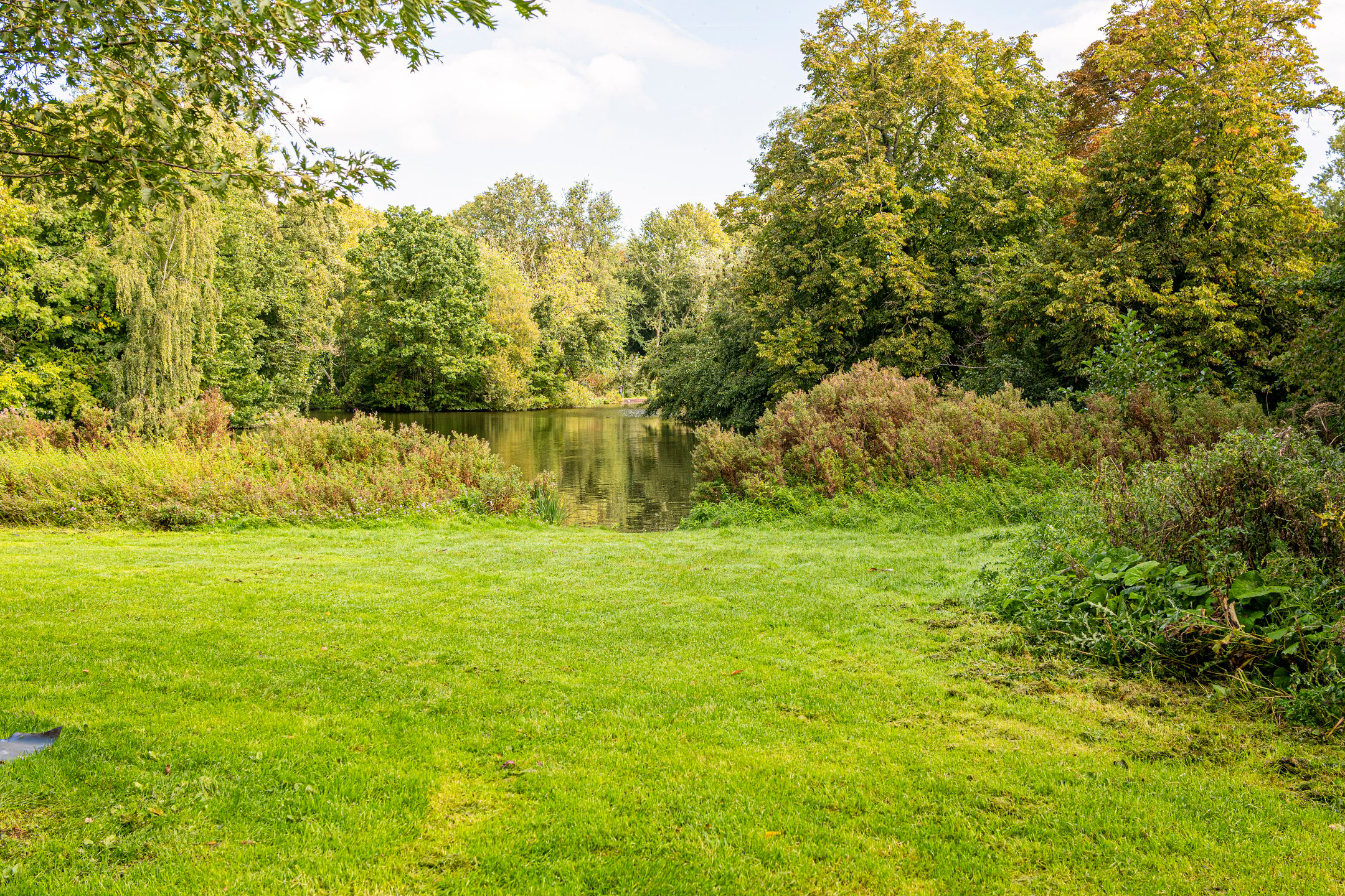 Photo 57 of Amstelveenseweg 146-2