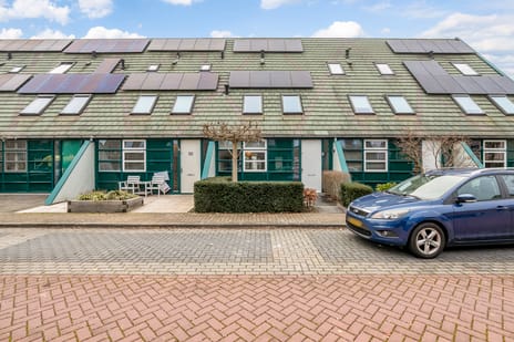 undefined main image