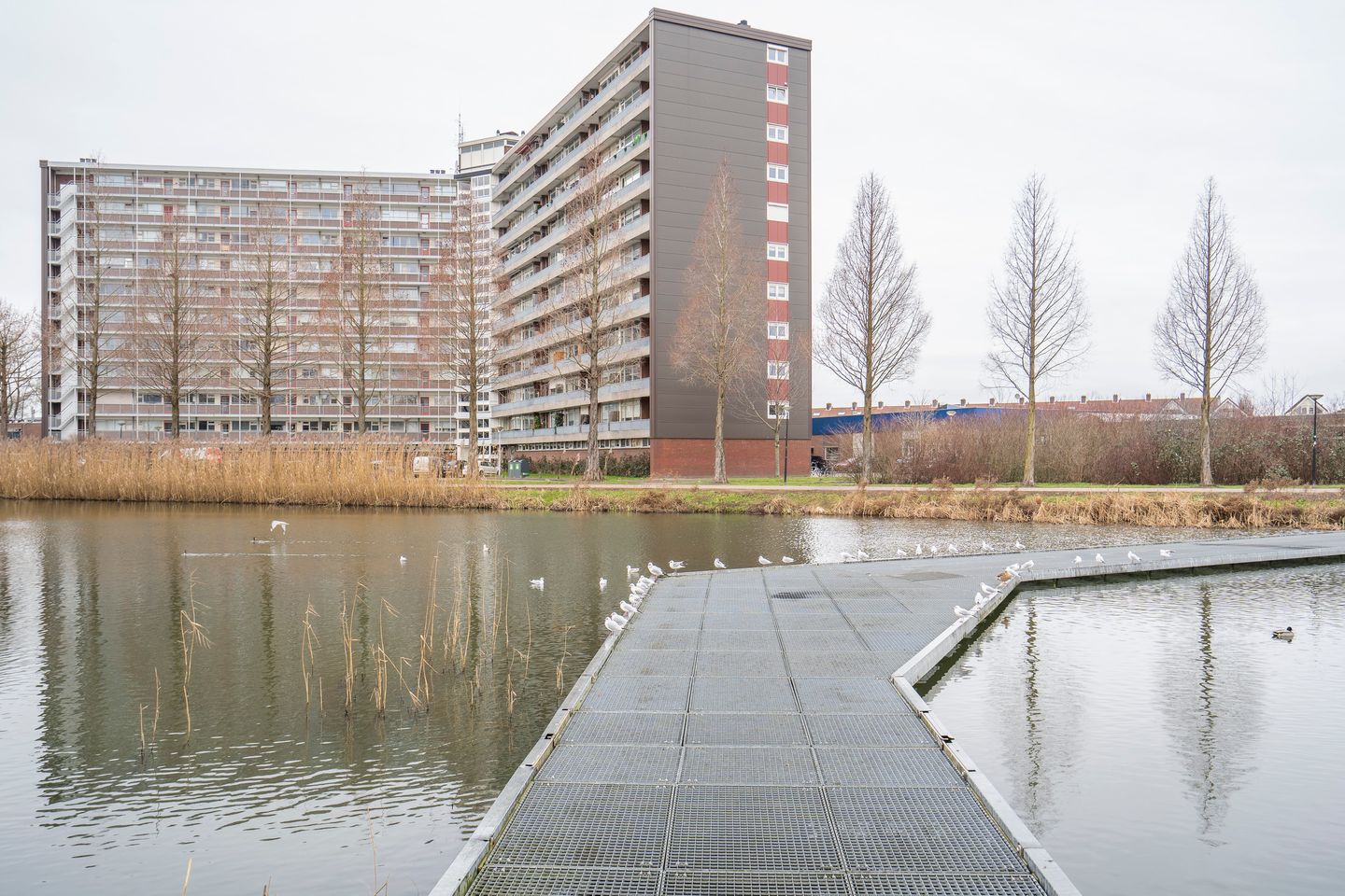 Foto 5 van Vrijheer van Eslaan 399