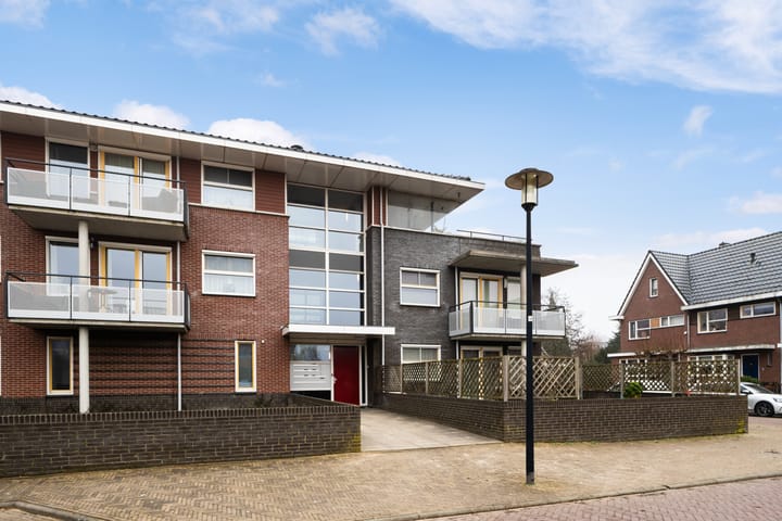 Photo 6 of Teenschiller 8