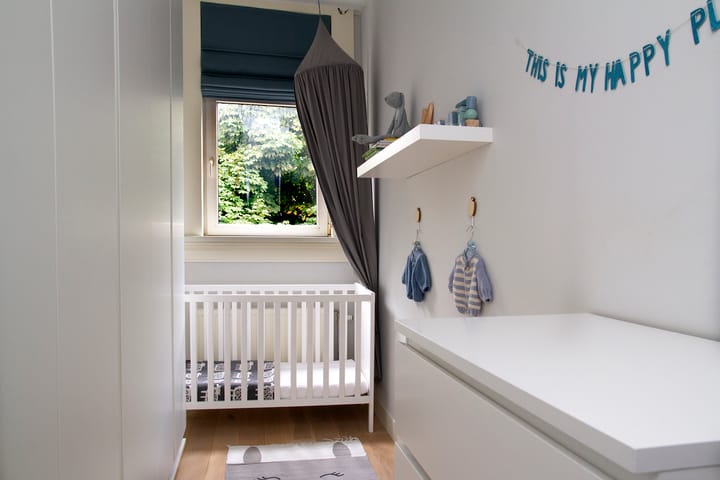 Foto 21 van Henegouwerlaan 43-C01