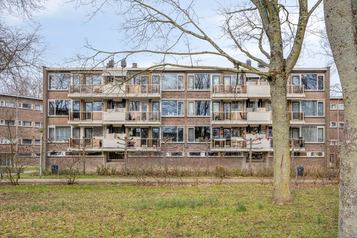 Julianaplantsoen 252