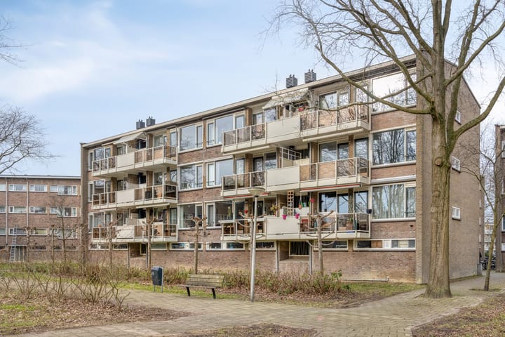 Foto 6 van Julianaplantsoen 252