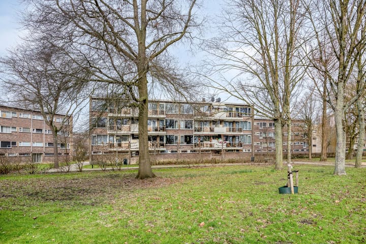 Foto 7 van Julianaplantsoen 252