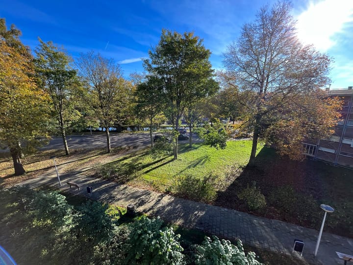 Foto 24 van Julianaplantsoen 252