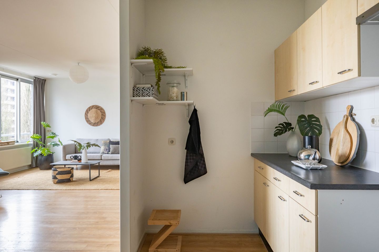 Foto 34 van Linnaeusplein 26