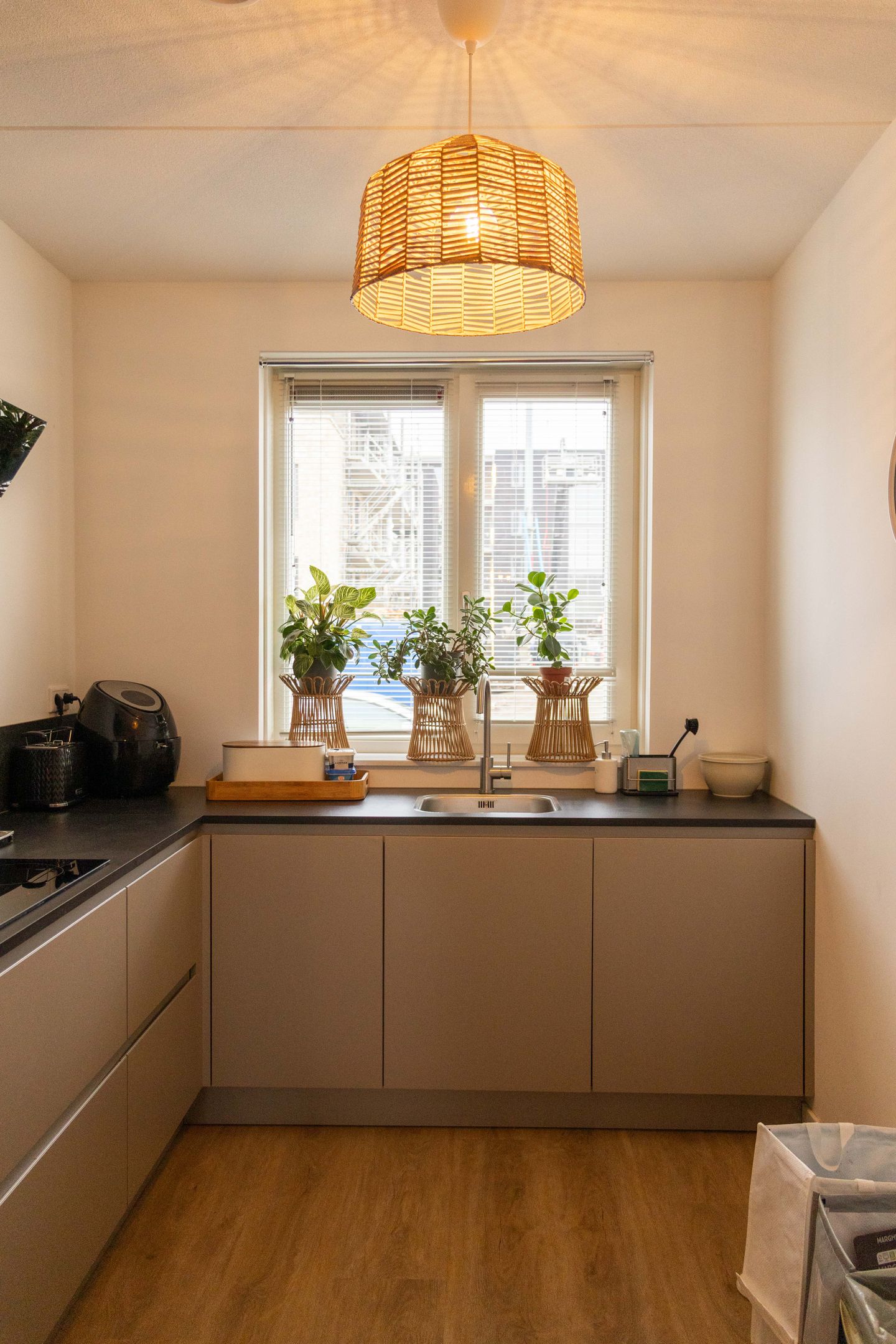 Photo 10 of Courtine 8