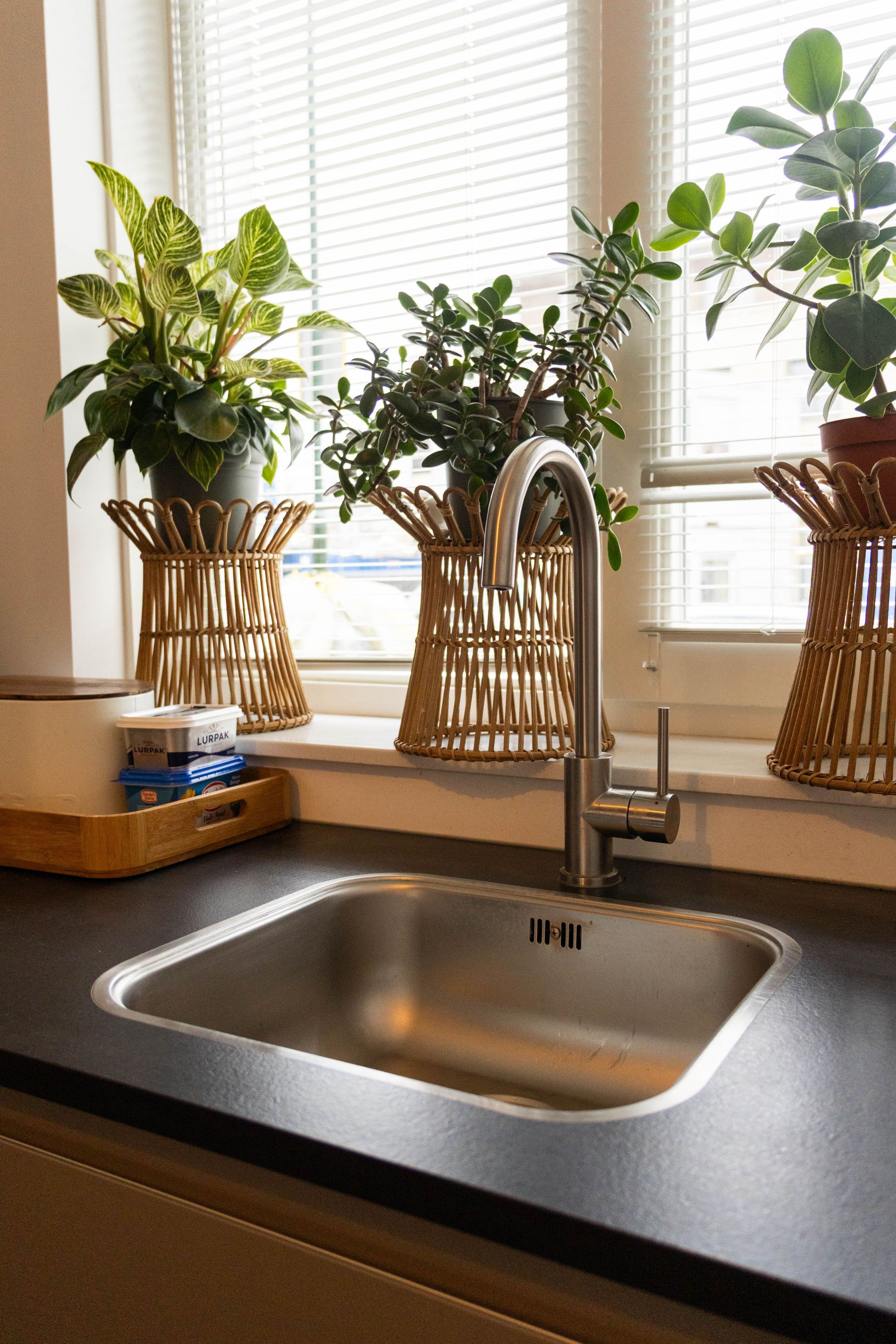 Photo 12 of Courtine 8